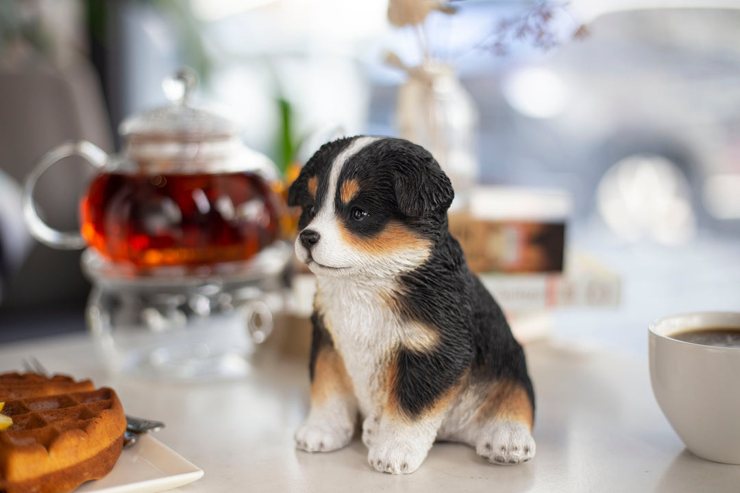 SOREAL Australian Shepherd Puppy (87624-08) – Hi-Line Gift Ltd.