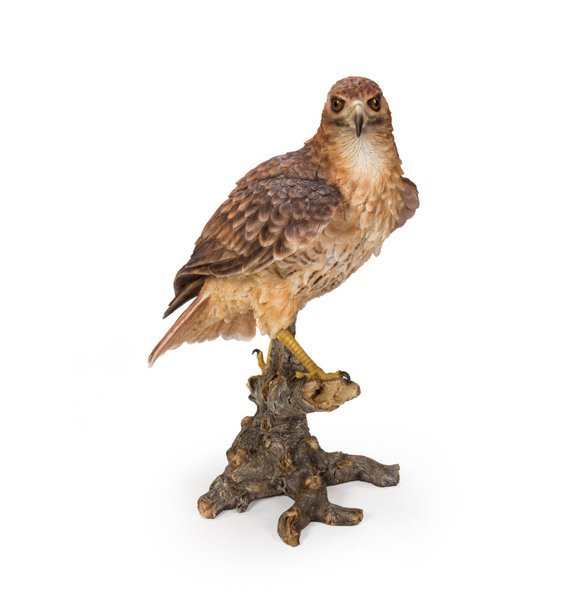 Wild Hawk standing on branch Garden Statue HI-LINE GIFT LTD.