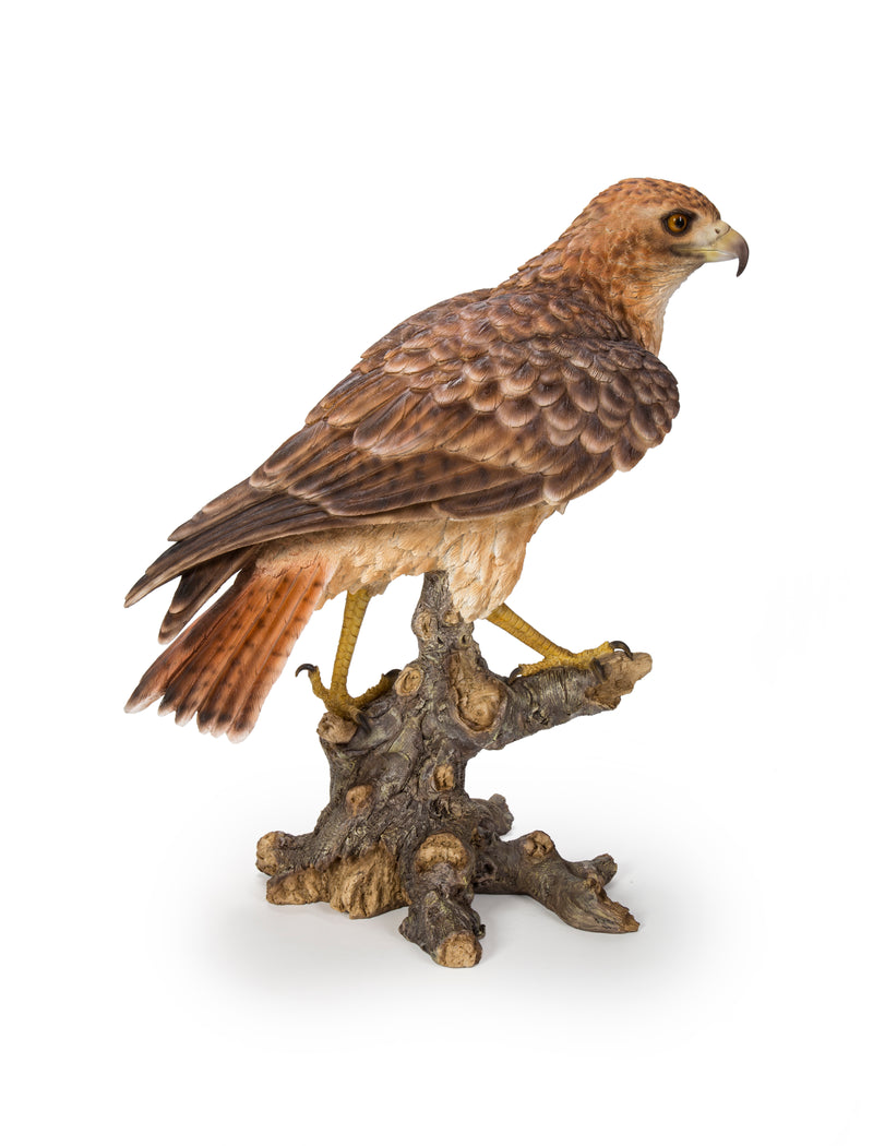 Wild Hawk standing on branch Garden Statue HI-LINE GIFT LTD.