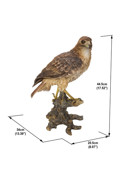 Wild Hawk standing on branch Garden Statue HI-LINE GIFT LTD.