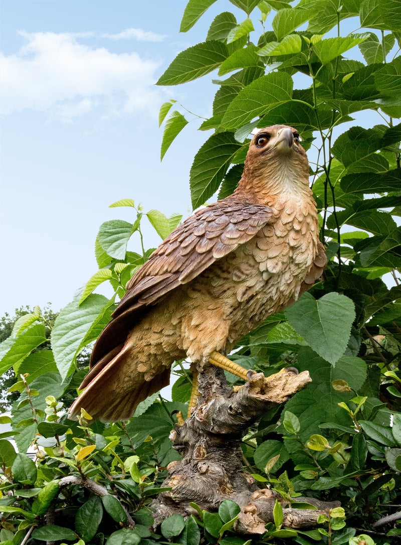 Wild Hawk standing on branch Garden Statue HI-LINE GIFT LTD.