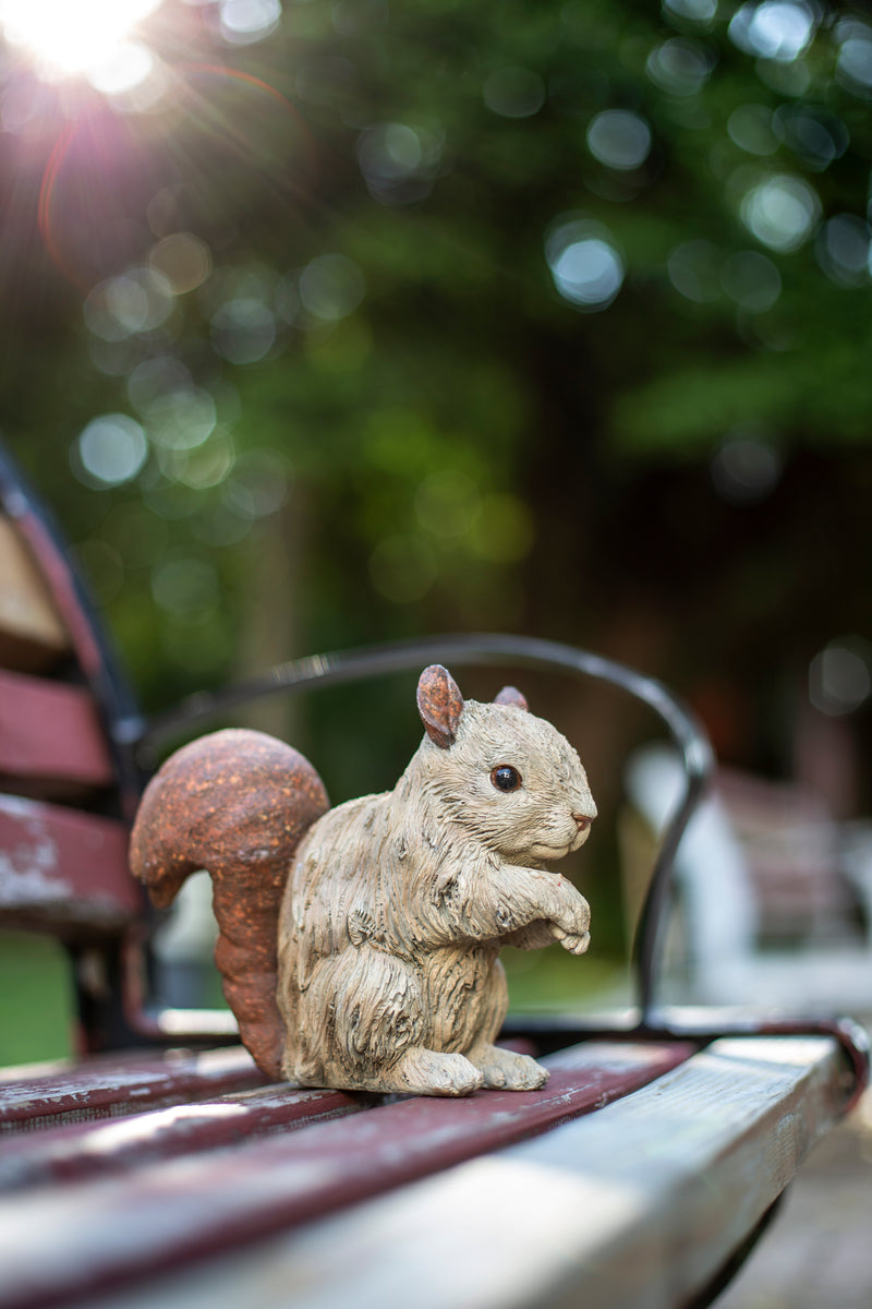 Squirrel Driftwood Look Statue HI-LINE GIFT LTD.