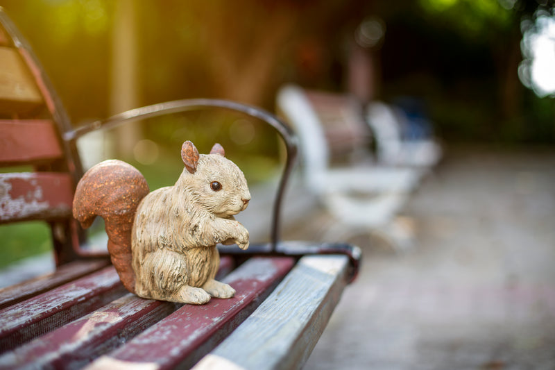 Squirrel Driftwood Look Statue HI-LINE GIFT LTD.