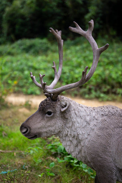 Reindeer Standing HI-LINE GIFT LTD.