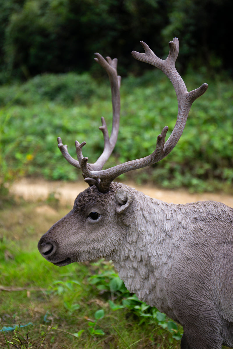 Reindeer Standing HI-LINE GIFT LTD.