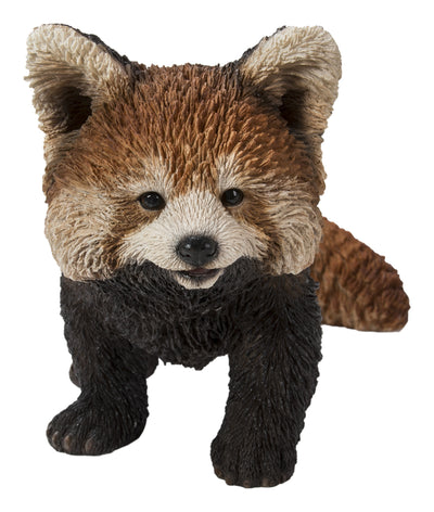 Red Panda Cub Walking HI-LINE GIFT LTD.
