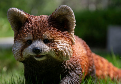 Red Panda Cub Walking HI-LINE GIFT LTD.