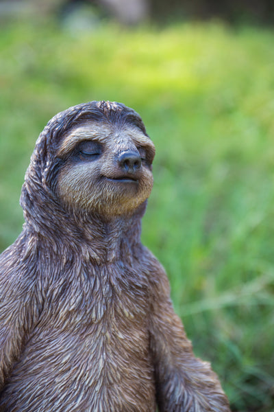 Sloth In Meditation HI-LINE GIFT LTD.