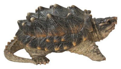 Hi-Line Exclusive - Snapping Turtle Statue HI-LINE GIFT LTD.