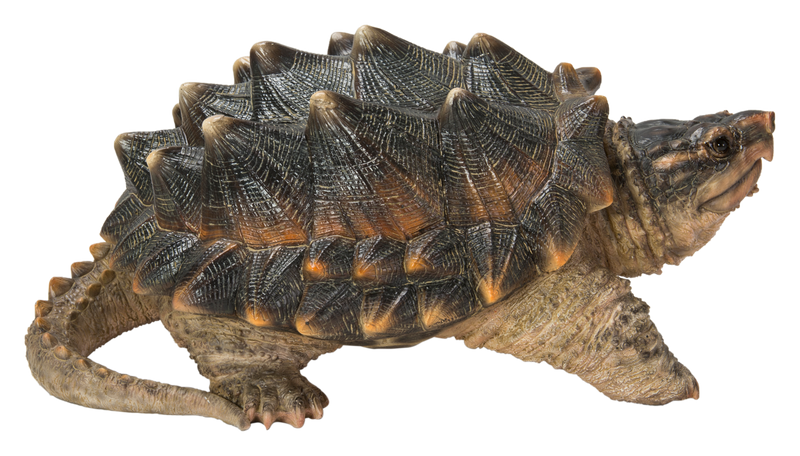 Hi-Line Exclusive - Snapping Turtle Statue HI-LINE GIFT LTD.