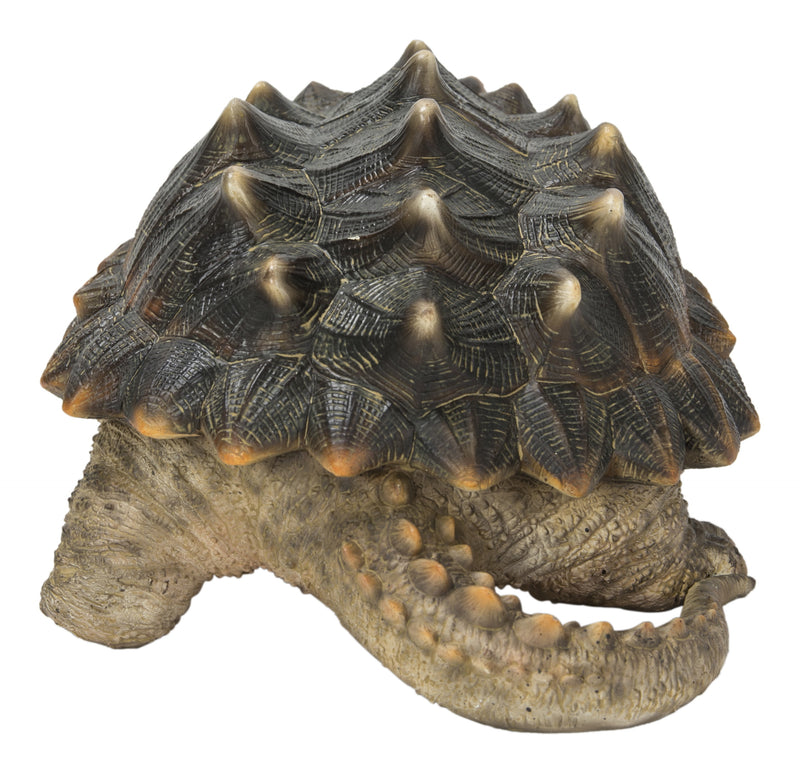 Hi-Line Exclusive - Snapping Turtle Statue HI-LINE GIFT LTD.