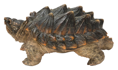 Hi-Line Exclusive - Snapping Turtle Statue HI-LINE GIFT LTD.
