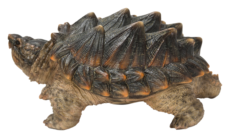 Hi-Line Exclusive - Snapping Turtle Statue HI-LINE GIFT LTD.