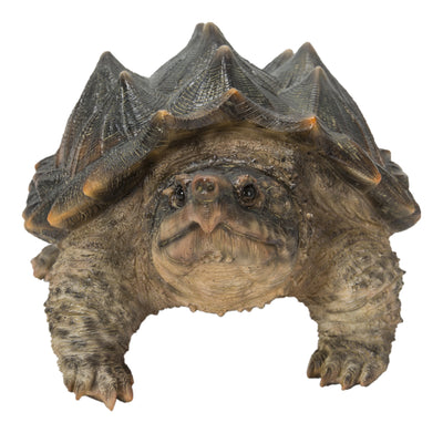Hi-Line Exclusive - Snapping Turtle Statue HI-LINE GIFT LTD.