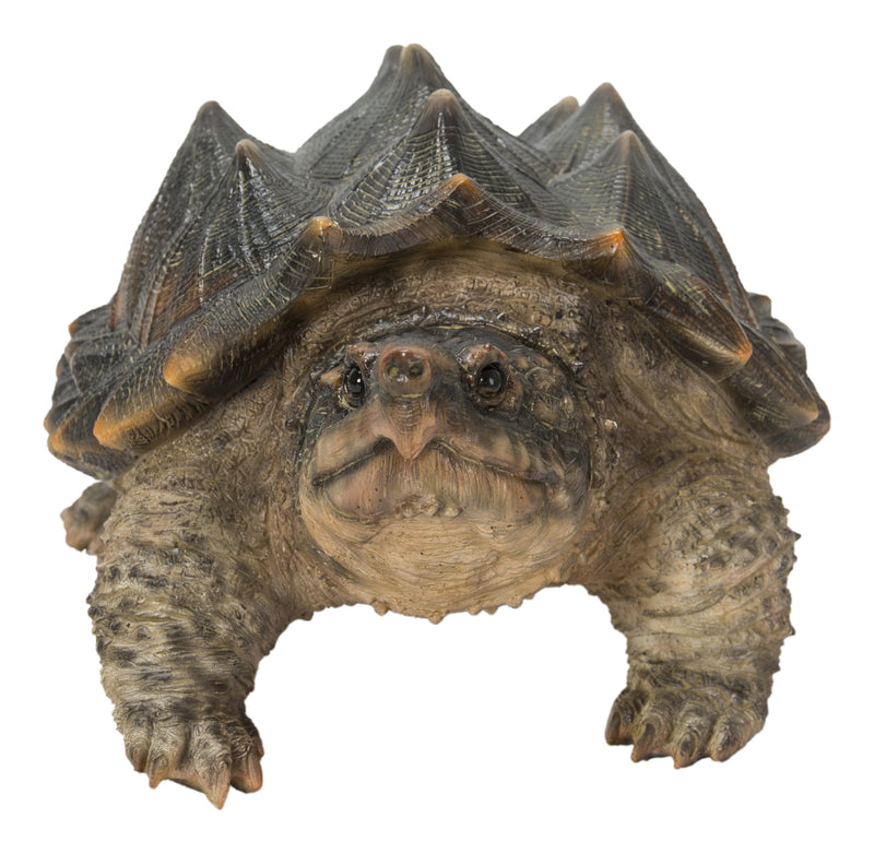 Hi-Line Exclusive - Snapping Turtle Statue HI-LINE GIFT LTD.