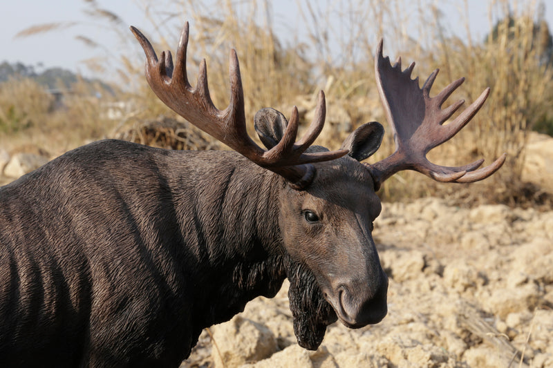 Standing Moose Statue Hi-Line Gift Ltd.