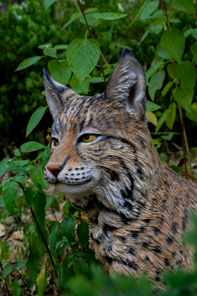 Sitting Bobcat Statue Hi-Line Gift Ltd.