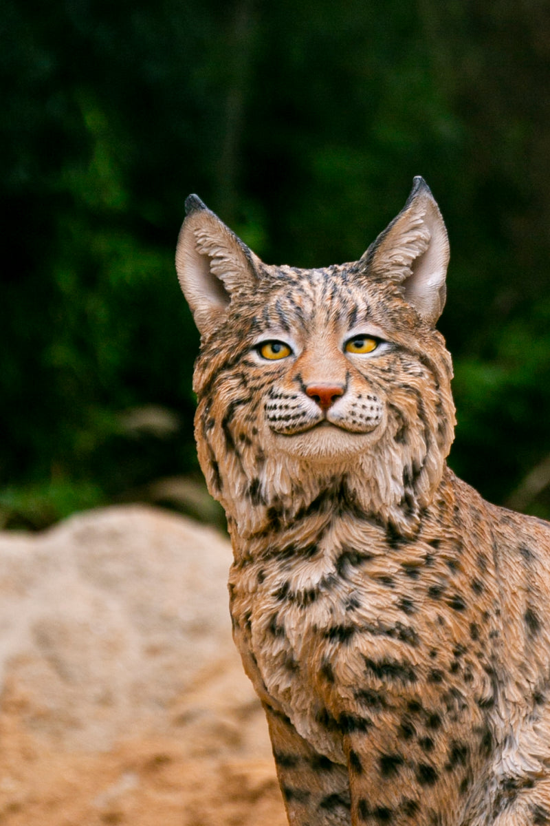 Sitting Bobcat Statue Hi-Line Gift Ltd.