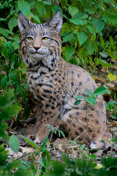 Sitting Bobcat Statue Hi-Line Gift Ltd.