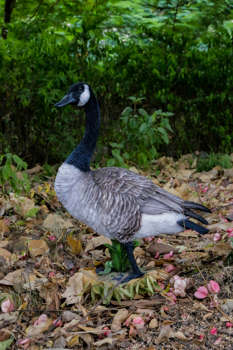 Standing Canadian Goose  HiLine Exclusive Hi-Line Gift Ltd.