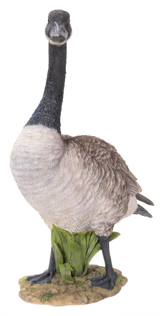 Canada goose zulily ltd outlet