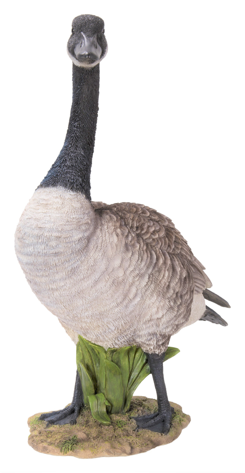 Standing Canadian Goose  HiLine Exclusive Hi-Line Gift Ltd.