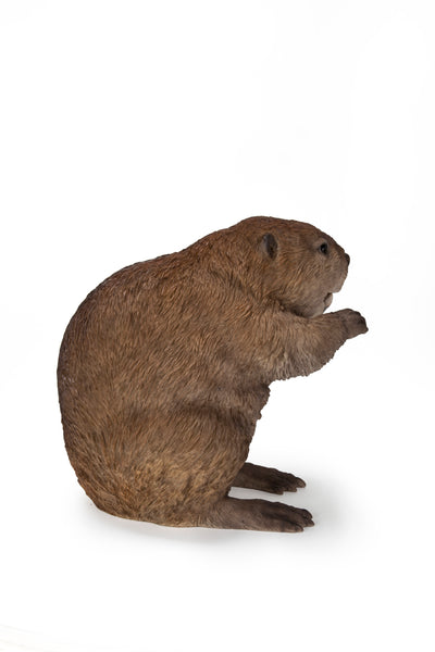 American Beaver Statue HI-LINE GIFT LTD.