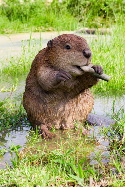 American Beaver Statue HI-LINE GIFT LTD.