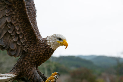 Large Flying Eagle Statue Hi-Line Gift Ltd.