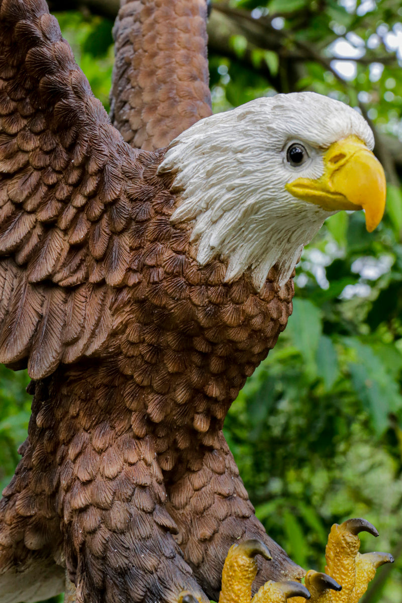 Flying Eagle Statue HI-LINE GIFT LTD.