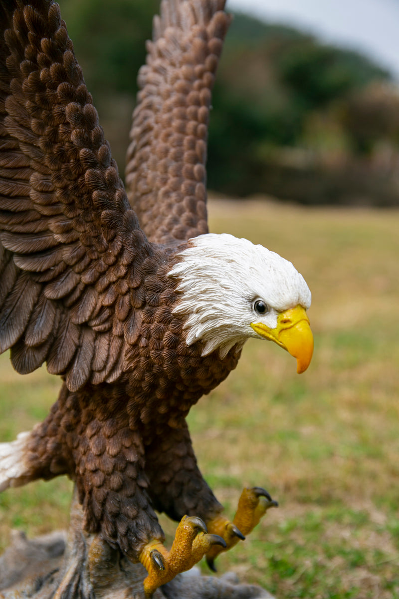 Flying Eagle Statue HI-LINE GIFT LTD.