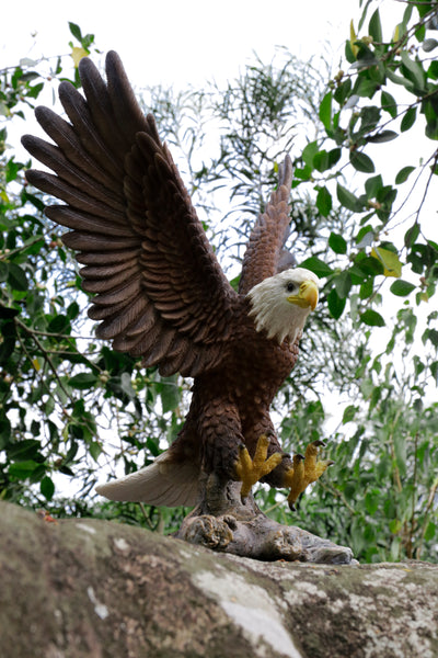 Flying Eagle Statue HI-LINE GIFT LTD.