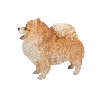 Pomerania Standing Statue HI-LINE GIFT LTD.
