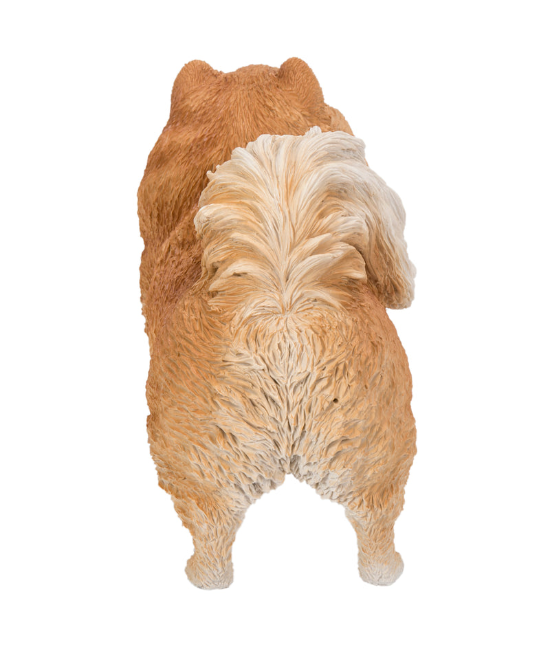 Pomerania Standing Statue HI-LINE GIFT LTD.