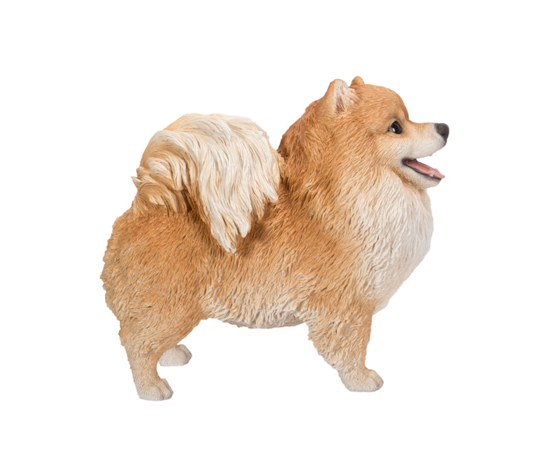 Pomerania Standing Statue HI-LINE GIFT LTD.