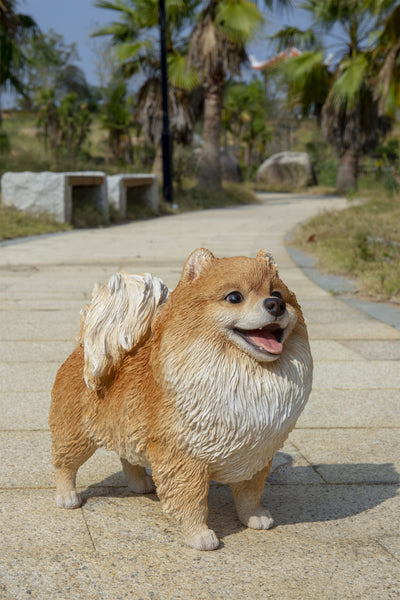 Pomerania Standing Statue HI-LINE GIFT LTD.