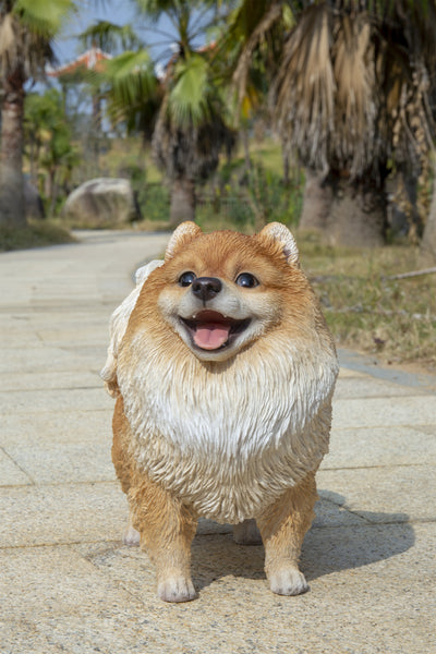 Pomerania Standing Statue HI-LINE GIFT LTD.
