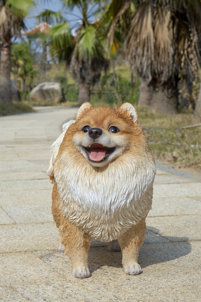 Pomerania Standing Statue HI-LINE GIFT LTD.