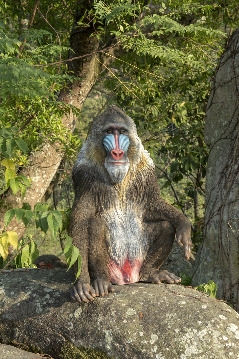 Large Sitting Mandrill Hi-Line Gift Ltd.