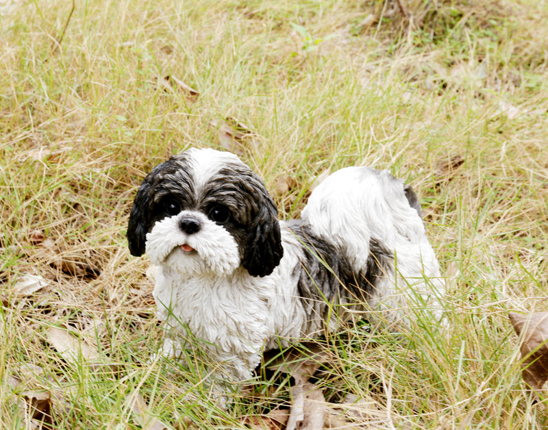 Shi Tzu Puppy Standing Statue HI-LINE GIFT LTD.