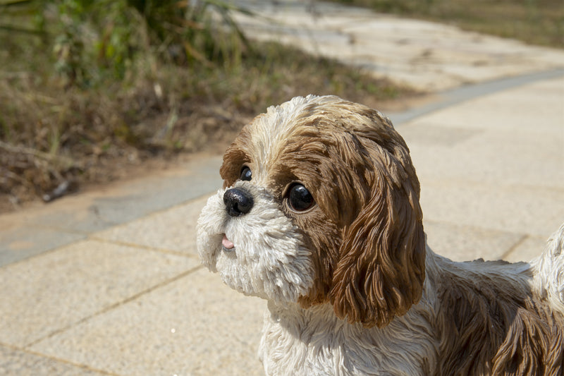 Shi Tzu Puppy Standing Statue HI-LINE GIFT LTD.