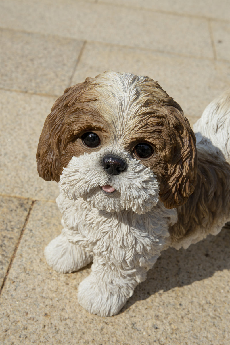 Shi Tzu Puppy Standing Statue HI-LINE GIFT LTD.