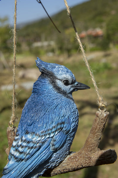 Hanging Blue Jay On A Branch Hi-Line Gift Ltd.