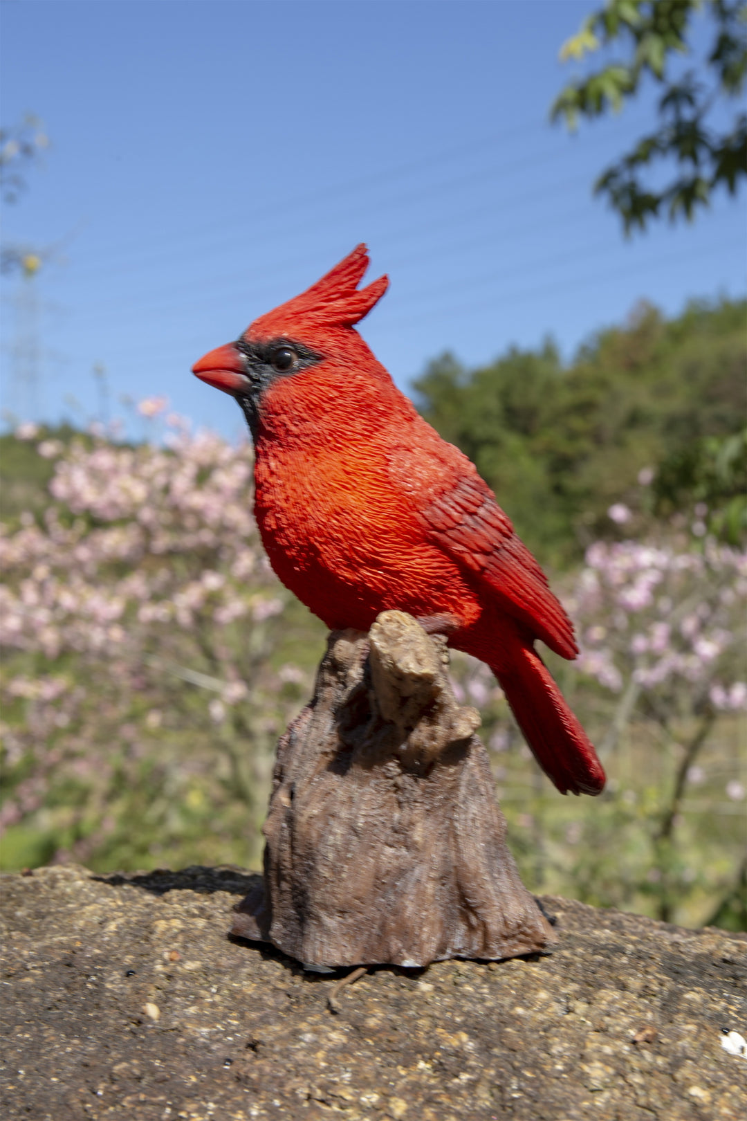 Motion-Activated Singing Cardinal Wildlife Statue – Hi-Line Gift Ltd.