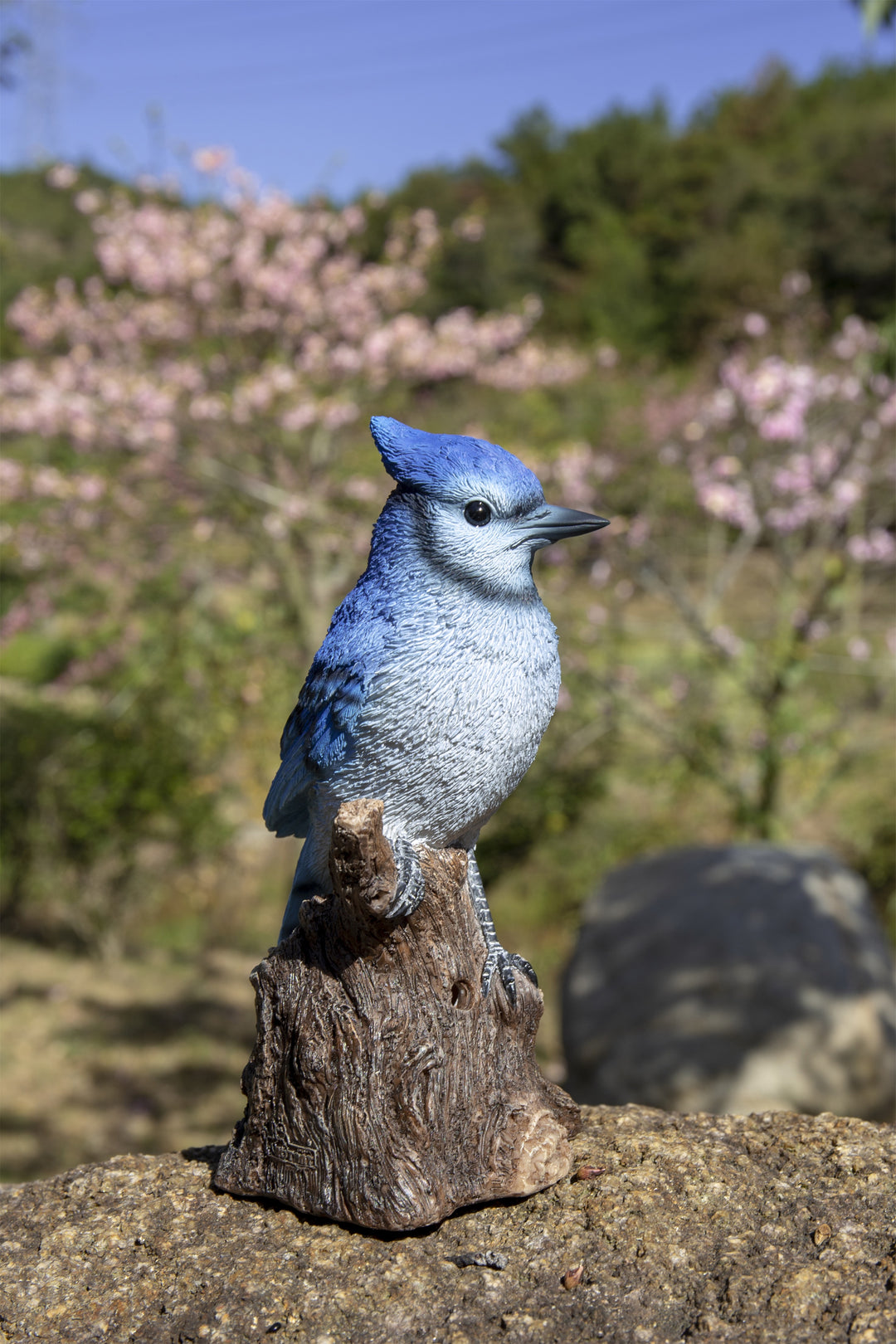 Motion-Activated Singing Blue Jay Resin Statue – Hi-Line