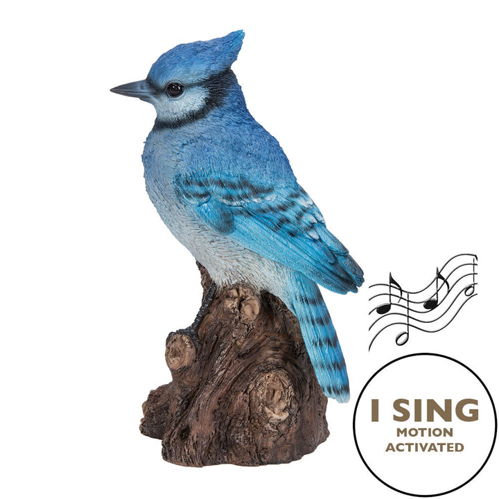 Motion-Activated Singing Blue Jay Resin Statue – Hi-Line