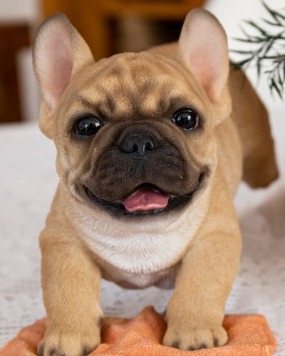 French Bulldog Mopping The Floor HI-LINE GIFT LTD.