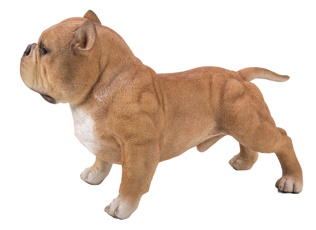 87678-A - Walking Brown Bully Dog Statue Hi-Line Gift Ltd.