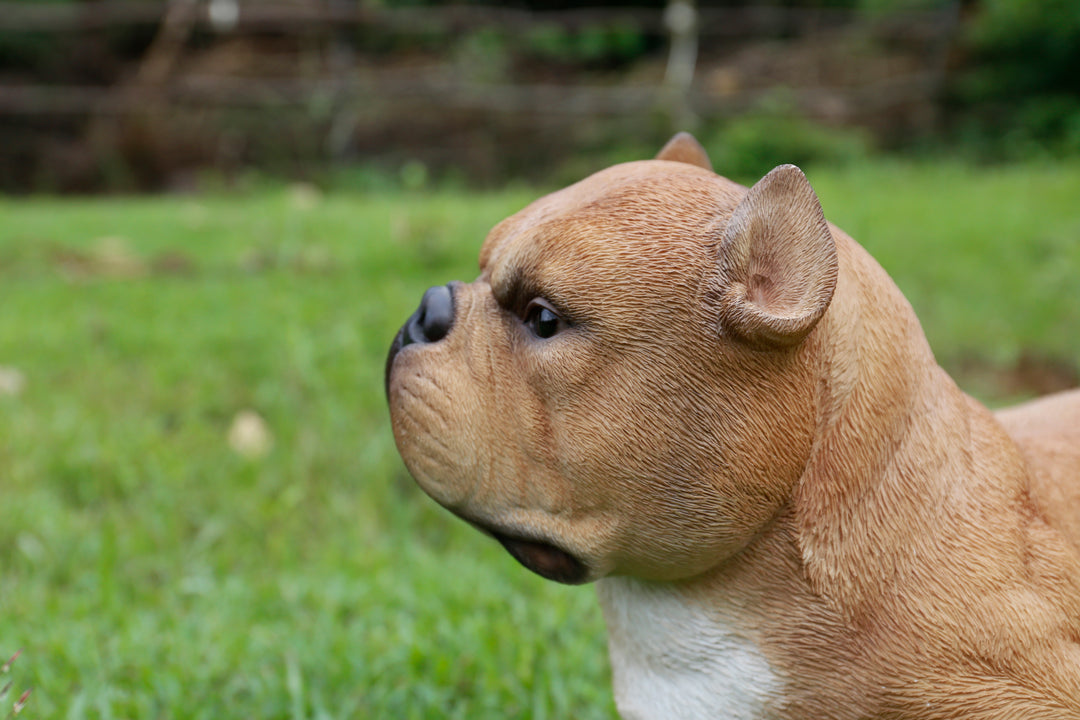 87678-A - Walking Brown Bully Dog Statue – Hi-Line Gift Ltd.