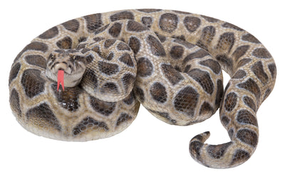 Curled Up Python Statue HI-LINE GIFT LTD.